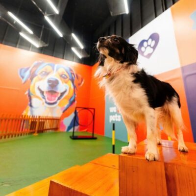 Pet Friendly: Catuaí Palladium reforça estrutura de acolhimento e área exclusiva para animais de estimação